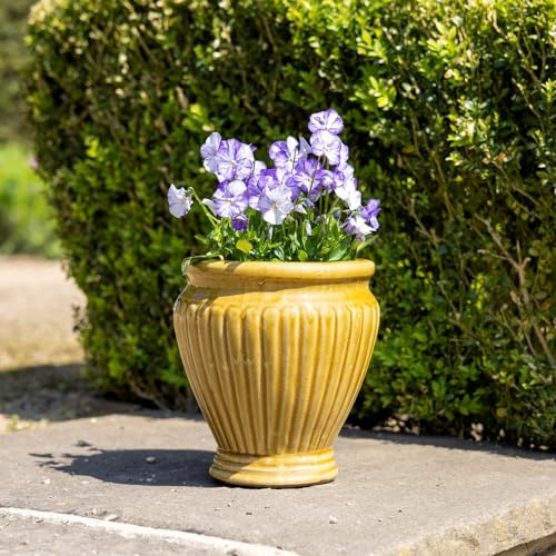 Primrose H29cm Terracotta Round Planter In Yellow Garden Patio Flower Pot