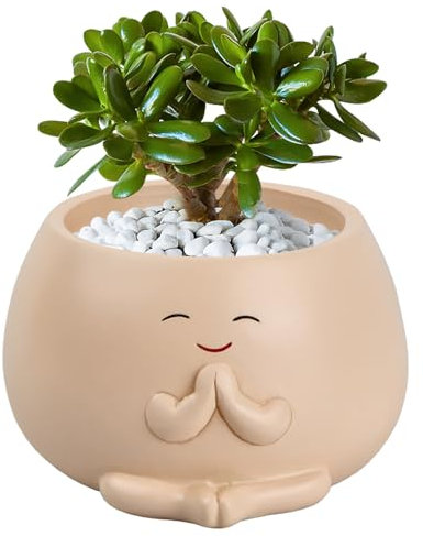 Macetas, Maceta de Resina con Cara Sonriente para Suculentas, Macetas para Interiores y Exteriores, Maceta de Jardín con Agujero de Drenaje, Maceta Portátil para Jardín, Escuela, Casa (Beige)