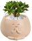 Macetas, Maceta de Resina con Cara Sonriente para Suculentas, Macetas para Interiores y Exteriores, Maceta de Jardín con Agujero de Drenaje, Maceta Portátil para Jardín, Escuela, Casa (Beige)
