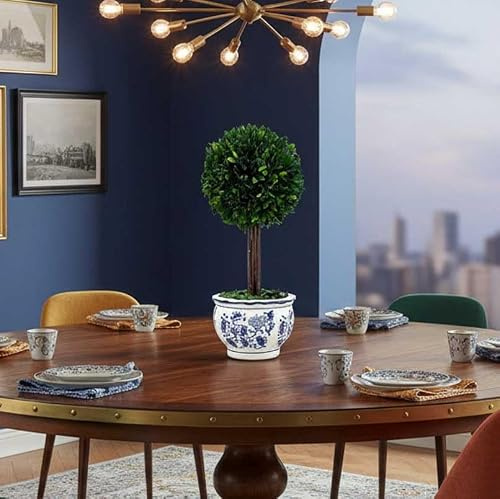 Galt International Naturally Preserved Boxwood Ball Topiary Tree in Round Hand Painted Blue & White Ceramic Pot Planter - European Rococo Home Decor Classic Chinoiserie - 15.7 Tall Topiary