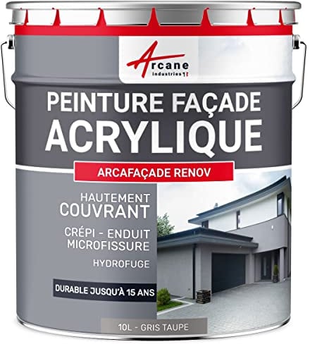 Peinture Façade - Peinture Hydrofuge Acrylique 14 couleurs - Dure jusqu'à 15 ans - 10 L (+ ou - 60 m² en 1 couche) Gris platine - RAL 7036 - ARCANE INDUSTRIES