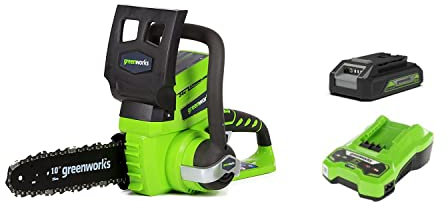 Greenworks - Sega a catena a batteria agli ioni di litio, 24 V, lunghezza di taglio 25 cm, velocità di taglio 4,2 m/s, motore elettrico senza spazzole con batteria da 2 Ah e caricatore)