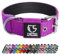 TSPRO Taktisches Hundehalsband, Robustes Halsband für Hunde mit Metallschnallenverschluss, 3,8 cm Breit, Verstellbar und Dick für Mittel bis Großgroße Hunde (Lila M)