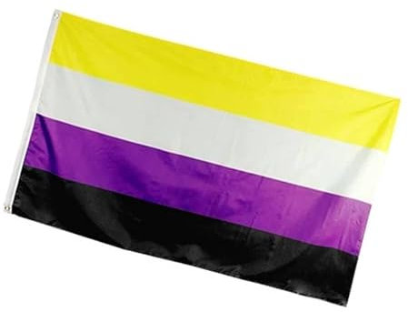Non-Binary Pride Flagge – Extra große Genderqueer NB LGBTQ+ Flaggen mit Messingösen, 150 x 90 cm