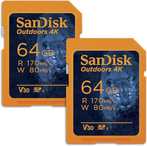 SanDisk Lot de 2 cartes mémoire 4K SDXC UHS-I 64 Go pour l'extérieur jusqu'à 170 Mo/s, C10, U3, V30, caméra Trail – SDSDSDXW2-064G-GN6V2