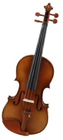 professionelle Geige Handgefertigte Geige Aus Massivem Holz Für Anfänger Und Erwachsene Zur Prüfung Für Spielen Der Klassischen Geige (Color : 1/2)