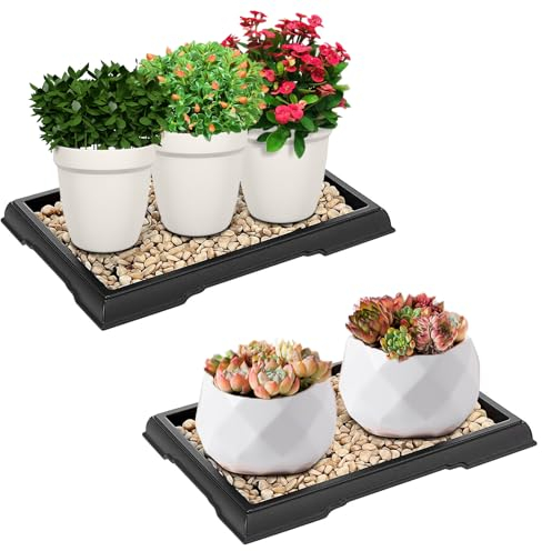 ACTIMED 2 Pack Bonsai Humidity Tray Drip Tray Rectangular Plastic Plant Water Catcher Tray Plant Saucers for Indoors and Outdoors Cactus, Succulents, Bonsai Tree (7.8 x 5.5 inch)