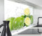 timalo Spritzschutz Wand für Herd, Küche Küchenrückwand Glasoptik | Acryl Glas 2mm | Glasrückwand Acrylglas Wandpaneele Küchenspiegel | 160x50cm Frische Limetten Wasser Splash