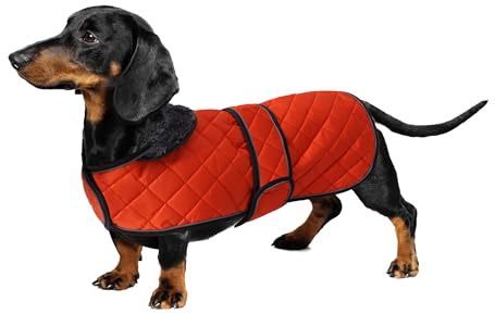 Geyecete - Warmer wintermantel für dackel Hunde,Hunde Winterjacken mit plüschfutter,Outdoor jacken mit verstellbaren gürtel und Kabelbaumloch,für mittelgroße und Kleiner dackel-Orange-S