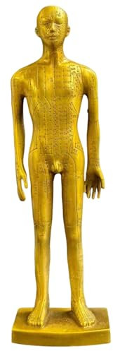 FHUILIJH Akupunkturpunktmodell aus reinem Kupfer - Bronze-Schaufensterpuppe - für Ornamente des chinesischen Medizinmuseums Lehrstudie,Gelb,35cm