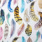Geschenkpapier 70cm x 2m Rolle Motive: Federn pastell bunt