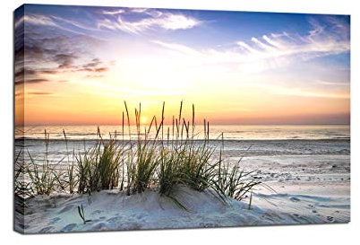 Visario bestpricepictures 120 x 80 cm Bild auf Leinwand Dünenlanschaft 5020 deutsche Marke und Lager.