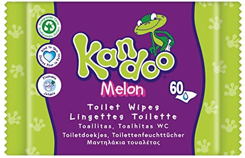 Kandoo - Lingettes Melon - Lingettes Humides Jetables Adaptées aux Enfants - Douceur Extrême - Efficacité Supérieure - Testées sous Contrôle Dermatologique - 1 Pack de 60 Lingettes