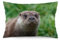 Zhimahou Kissenbezüge, Eurasischer Otter, Outdoor-Porträt in Gras, Stuhlkissen, Sofakissen, Sitzkissenbezüge, Bett-Kissenbezüge, 75 x 50 cm