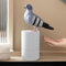 Automatischer Schaumseifenspender, Taubenförmiger Schaum-Handwascher, Berührungsloser Induktionsseifenspender, Handsensor Pigeon Automatischer Schaumseifenspender für Badezimmer