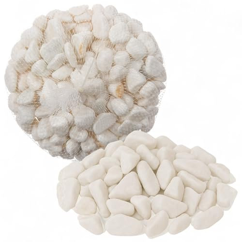 MIJOMA Pierres décoratives 1 kg – Pierres décoratives naturelles pour jardin, aquarium, bricolage et art floral – Utilisation polyvalente en véritable pierre naturelle (blanc)