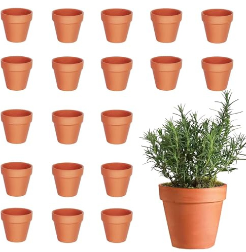 xolear 20 Pièces Terre Cuite Mini 4,5 x 4 CM, Tpots en Terre Cuite avec Trous de Drainage, Small Terracotta Pot DIY, pour Fabriquer des Plantes, des Plantes Succulentes et des D'intérieur