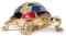 Walzer & F Schildkröte Trinket Jewelry Box Scharnier Schmuckkästchen handbemalte Figur Sammlerstück 2