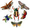 Stickerei, Käfer, Schmetterling, Insekten, Applikation, Stoff, Patches, Badge, DIY, Basteln für Jeans Kleidung, Dekorations-Nähen, TH887, 1 Set/6 Stück a