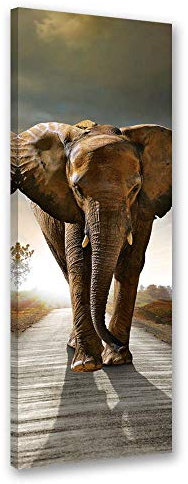 Feeby Bild auf Leinwand Elefant Kunstdruck modern Tier Braun 40x120 cm