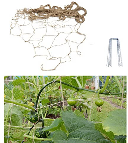 KOOLIST Plant Support Netting, 5m x 1m, Tangle Free Jute String Net for Beans,Peas and Climbing Plants - 100% Compostable Complete with 5 Complimentary Securing Garden Spikes