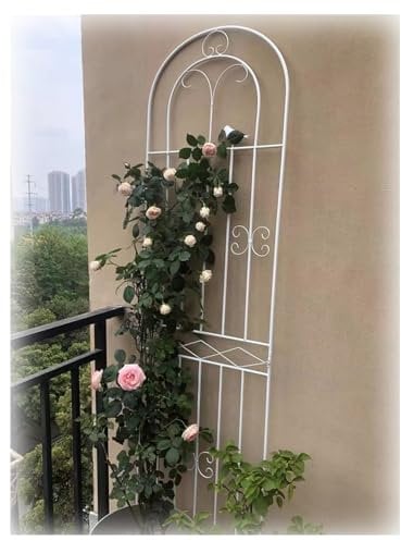 Treillis de Jardin en Fer 180 * 50 Cm, Treillis de Décoration Extérieure, pour Pelouse, Jardin, Arrière-Cour, Plantes Grimpantes(Color:White,Size:200 * 50cm/78.7 * 19.7in)
