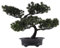Ciieeo Simulierter Bonsai künstliche Pflanzen wohnkultur dekorativer Pflanztopf künstliche weihnachtsbäume Artificial Christmas Tree Schreibtischaufsteller gefälschter Baumtopf Plastik