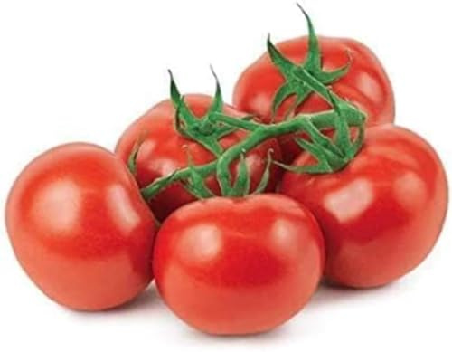 Swathi Vine Tomato Farm Fresh Ripened on The Vine Perfect for Salads, Sandwiches, Sauces, Salsas, and Everyday Cooking 500g