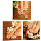 Nachic Wall 3-teiliges Wandbild mit Händen, Pediküre, Spa Poster Beauty Fashion Woman Maniküre Bild Gemälde auf Leinwand Modern Massage Salon Badezimmer Dekoration Galerie Wrap fertig zum Aufhängen