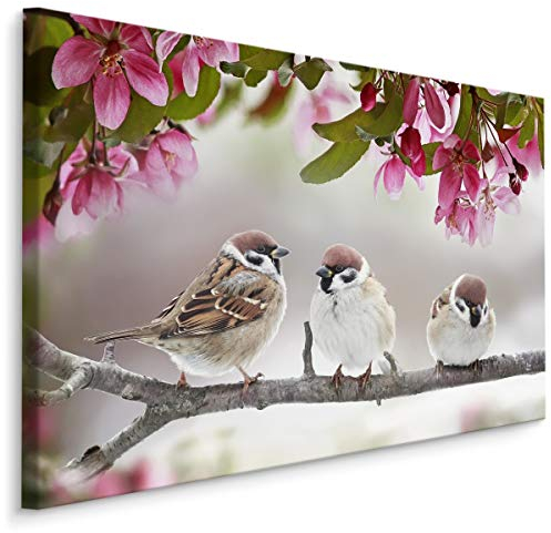 Muralo Leinwandbilder 30x20 Tiere Vögel Spatzen Leinwand Wandbild Kunstdruck Federn Wild Natur Flora Schlafzimmer Wohnzimmer Wanddekoration Design XXL 934 Br. 30 cm x Hö. 20 cm
