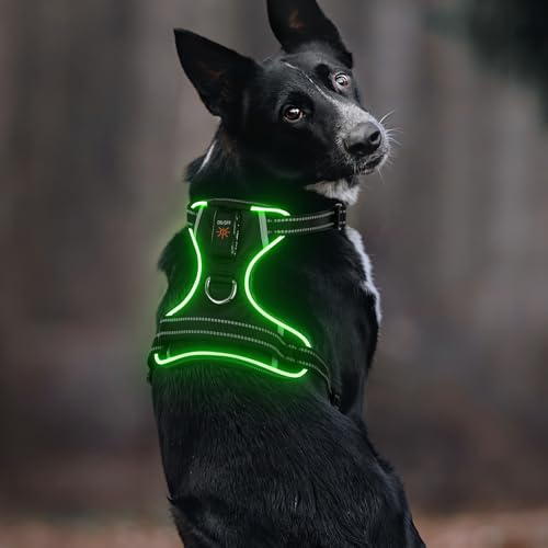 Leuchtendes Hundegeschirr, Colaseeme Light Hundeweste mit reflektierenden Streifen und verstellbarem Geschirr, LED-Hundelicht wiederaufladbar für kleine, mittelgroße und große Hunde (RGB,S)