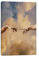 demazyyws Michelangelo Gemälde auf Leinwand, Motiv: Adam Handkunst, 50 x 70 cm, ohne Rahmen
