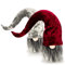 com-four® 2X Premium Weihnachts-Wichtel für die Weihnachtsdeko, winterliche Zwergen-Figur - Zipfelmütze - skandinavische Deko-Trolle - schwedischer Gnom mit Bart und Langer Wintermütze