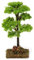 Holyart Albero Verde per presepe 7-10 cm