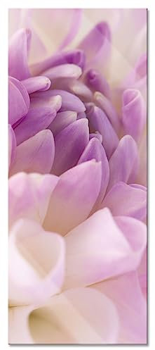 Pixxprint Glasbild Panorama, Wandbild aus Echtglas, Traumhafte lila weiße Blüte, 100x40 cm, inkl. Aufhängung und Abstandshalter
