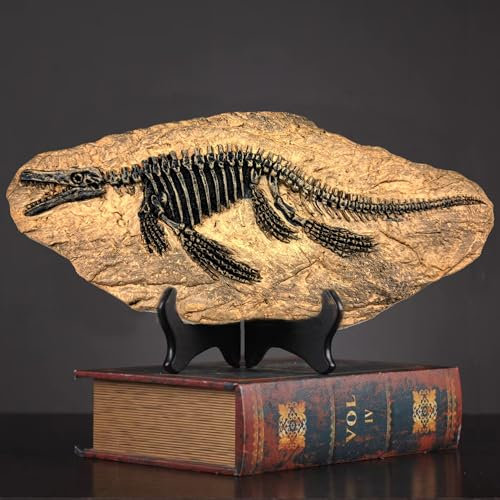 XINDAM Harz Mosasaurus Dinosaurier Fossil Figur Statue Modell Simuliertes Skelett Home Office Display Dekorative Handwerk Box Dekoration (Stil 9)