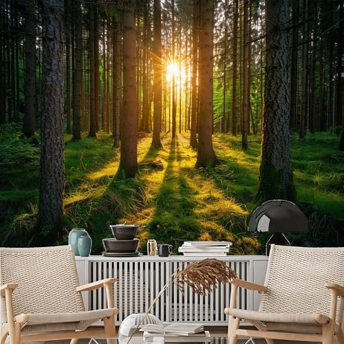 Custom Size Wall Murals, Golden Forest Rays Self - Adhesive Removable Large Photo Wallpaper for Living Room, Bedroom, Bathroom, Office, Dining Room, Kid's Room