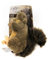 ALL FOR PAWS Hundespielzeug Quietschend, Eichhörnchen Kuscheltier, Langlebig und Weiches Dog Toys, Stimuliert Spiel- und Jagdtrieb, Mit Lustigen Geräuschen, 16 x 18 x 5.5 cm, klein