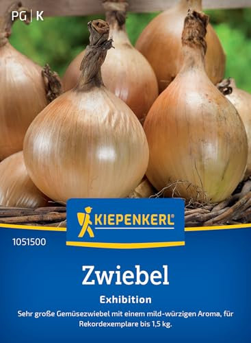 Kiepenkerl Zwiebelsamen Exhibition 1051500 - Sehr große Gemüsezwiebel - bis zu 1,5 kg - Inhalt für 8-10 lfd. Meter - Gemüsesamen, Samen Gemüse, Saatgut
