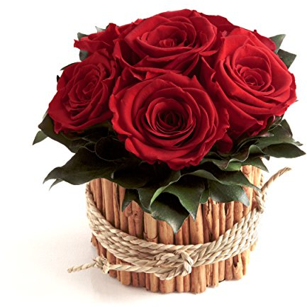 ROSEMARIE SCHULZ Heidelberg Rosengesteck 6 konservierte Rosen lang haltbar 3 Jahre/Blumengesteck/Bauernhaus/Blumen Deko/Tisch (Rot)