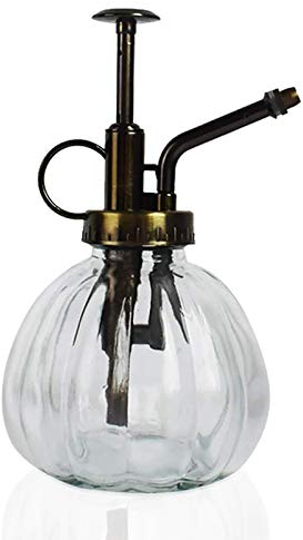 Regadera pequeña vintage retro de cristal de calabaza con forma de mano; transparente
