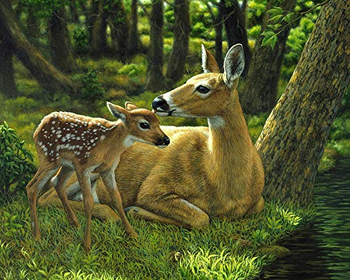 Sugamm DIY Diamond Painting Cerf Forêt Complet Kits, 5D Broderie Peinture Diamant Painting Animal Kit Complet De Croix Strass Art Craft Pour Home Décoration Murale 30x40 cm
