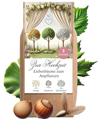 Hochzeitsgeschenk Anzuchtset Liebesbäume Hochzeitsgeschenke für Brautpaar Liebesbäume Geschenk Hochzeit kleine Aufmerksamkeit Hochzeitsbaum Baum Pflanzen Samen Set (Variante 3)