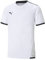 PUMA Unisex Kinder Teamliga Jersey Jr Shirt, Puma White-puma Black, 176 EU