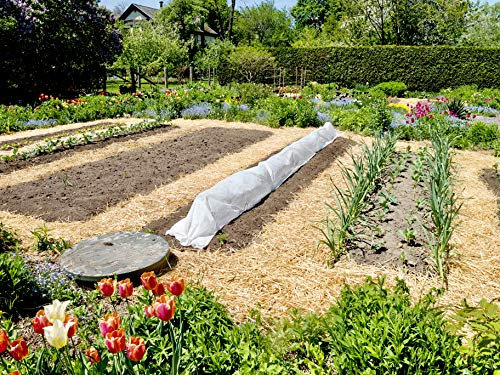 Blue Mountain Hay Bio Garten Strohmulch für Beete Saatgut Kompost 3,6 kg
