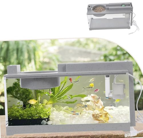 Mini aquarium complet avec pompe à air et lumière pour poissons combattants, crevettes, poissons rouges, petit réservoir à poissons pour le bureau