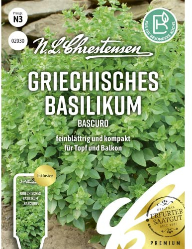 Griechisches Basilikum Bascuro Samen, Saatgut