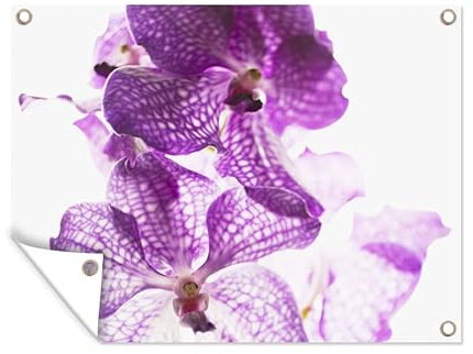 MuchoWow Outdoor-Poster Poster Wanddeko draußen Deko Garten Gartenposter 40x30 cm Lila Orchideen