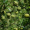 5 pcs bitterorange pflanze samen, säulenobstbäume, garten bitterorange baum - Poncirus trifoliata - biosaatgut, garten-geschenke obstbäume kaufen, ostergeschenke bio saatgut, sukkulenten