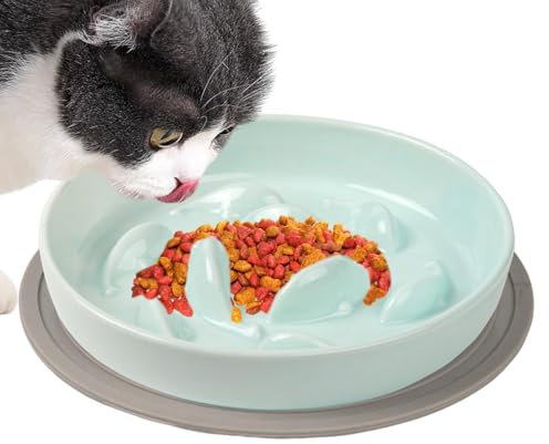 Cuenco de alimentación lenta – Plato portátil para gatos de interior de alimentación lenta, animales interactivos de alimentación lenta con ansiedad | Cuenco de alimentación para gatos diseñado para